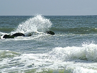 PICT0519 web